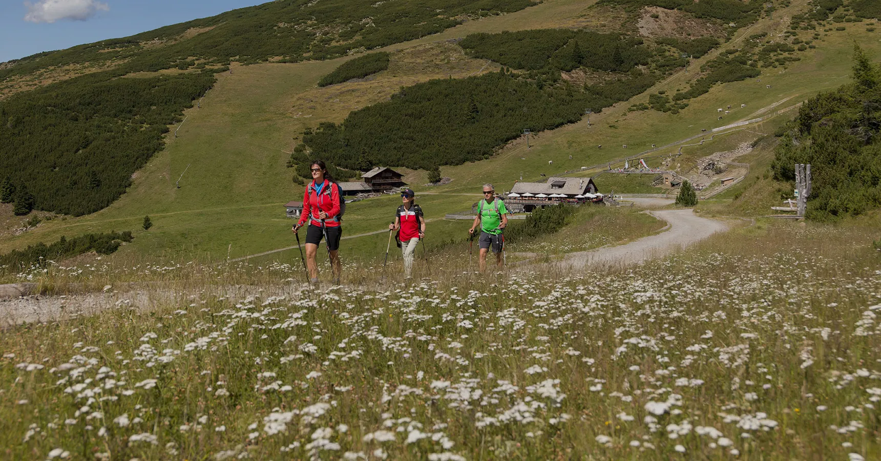 Drei Wanderer mit Stöcken auf blühender Almwiese, sonnige Berglandschaft mit Hütte