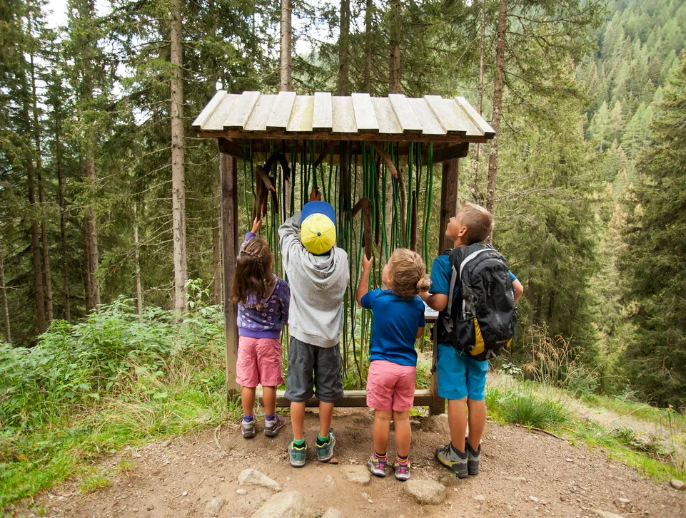 Vier Kinder entdecken eine Wald-Erlebnisstation an einem Themenweg im Sarntal