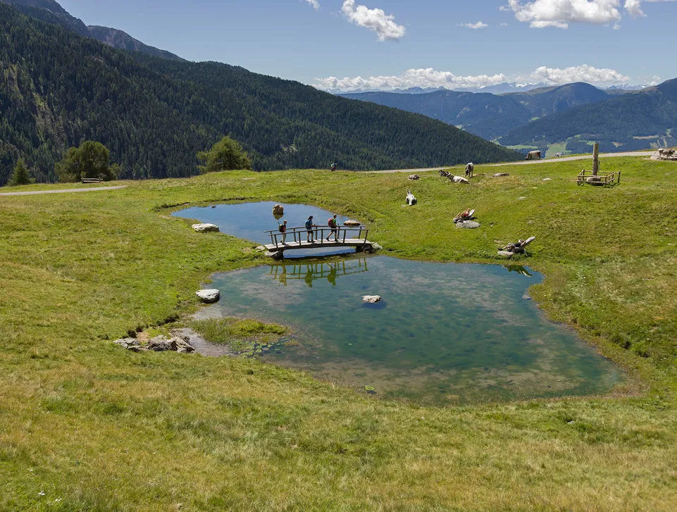 Bergsee mit Holzbrücke auf grüner Alm im Sarntal, weidende Kühe und Panoramablick