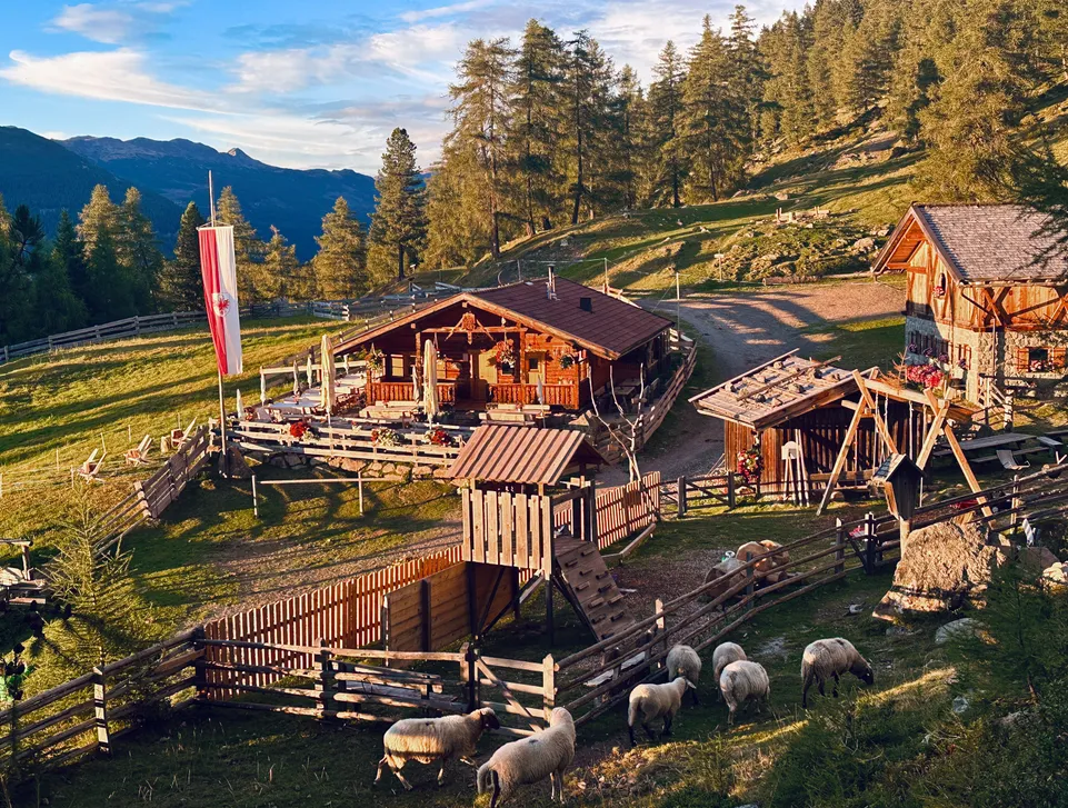 Urige Almhütten im warmen Abendlicht mit weidenden Schafen im Sarntal